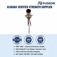 Kabel Interlock Tegangan Tinggi HVIL Kustom dengan Perakitan Kabel Terproteksi 600V untuk Sistem Keamanan EV OEM/ODM