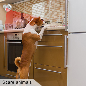 Датчик движения тела, беспроводная домашняя сигнализация, Электронная сигнализация лая собака - Product Image 4