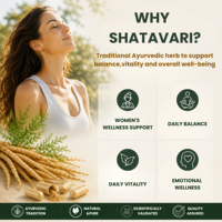 Fabricant professionnel de capsules Shatavarins OEM/ODM |   Certifié GMP/HACCP |   Production en gros de compléments alimentaires pour adultes en marque privée