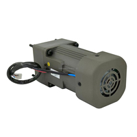 Moteur à engrenage à induction micro compact 25w 80MM monophasé 100V 110V 120V 220V 230V triphasé 220V ac