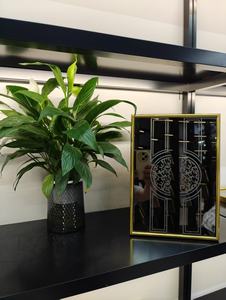 Cabina de ascensor de acero inoxidable personalizada de alta durabilidad para diseño de seguridad de coche de ascensor sanitario - Product Image 2