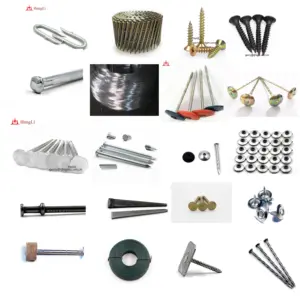 Professional Manufacturer Iron/Steel Nails factory