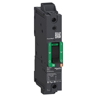 Disjoncteur à boîtier moulé BGL16060 60A1P, 600 V AC, 125 V DC, capacité de coupure 65 kA, borniers à vis, rail DIN