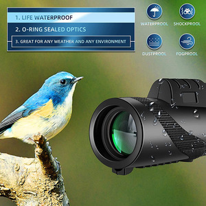 Telescopio 12x50 ad Alta Definizione per Escursionismo - Monocolo Nero ad Alta Potenza per Smartphone - Product Image 2