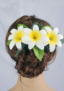 Fornitore all'ingrosso della fabbrica HM1021 8 colori 3-EVA schiuma Tiares Clip di capelli <span class=keywords><strong>W</strong></span> Maile foglie donne fiori hawaiani decorazione perni per capelli - Product Image 5