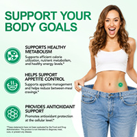 SOLOTREE 30 Patchs Transdermiques Biodégradables Antioxydants pour la Perte de Poids et le Soutien du Métabolisme, Patchs au Moringa avec Berbérine et NAD+