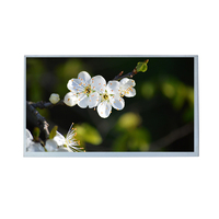 Écran LCD haute définition de 9,0 pouces 1280*720, interface LVDS, luminosité de 900 nits, écran LCD TFT de contrôle central en véhicule