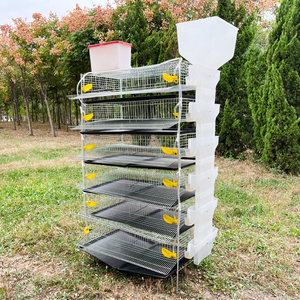 High Quality H Type Automatic Breeding Bird <strong>Cage</strong> Quail Breeding <strong>Cage</strong> - Product Image 2