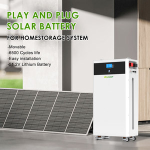 ระบบพลังงานแสงอาทิตย์บ้านแบบออฟกริดแบตเตอรี่51.2โวลต์48โวลต์200ah 300ah 10kwh 15kwh LFP51200แบตเตอรี่เก็บพลังงานที่บ้าน - Product Image 2