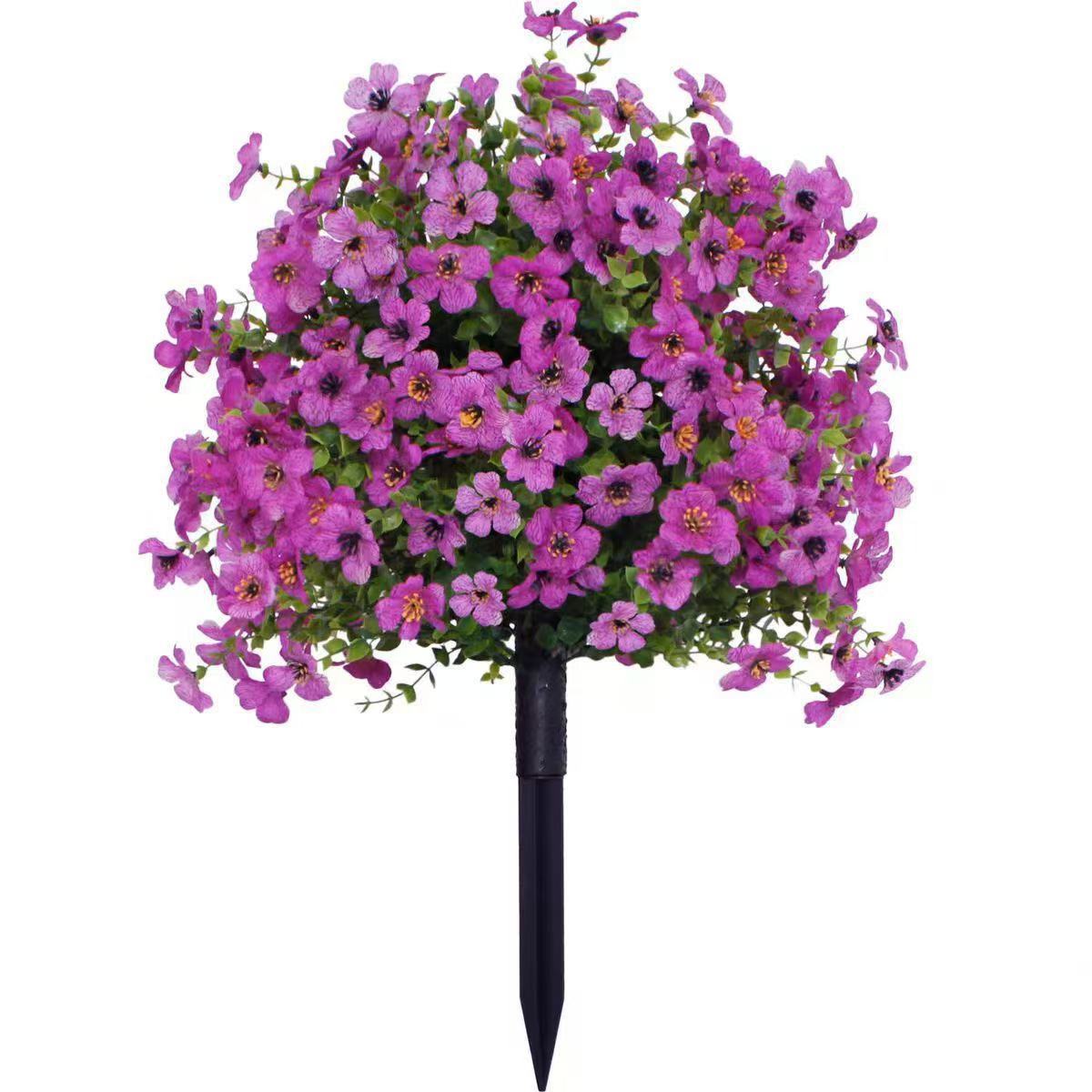 Viola