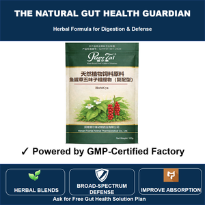 Additif alimentaire naturel à base de plantes pour la santé intestinale des volailles |   Extrait de Houttuynia Schisandra |   Alternative aux <span class=keywords><strong>antibiotiques</strong></span> |   GMP - Product Image 3