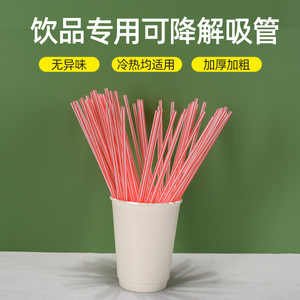 Biodegradable Disposable <b>Straws</b> 4x240mm Straight Pipe For Beverage <b>Drinking</b> - Product Image 5