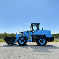 Caricatore Frontale Elettrico da 2 Tonnellate a Prezzo di Fabbrica con Cabina e Benna per Agricoltura, Edilizia e Magazzino