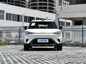 Intelligente # 1 SUV EV NVIDIA Orin Y 200TOPS per Auto - Product Image 2