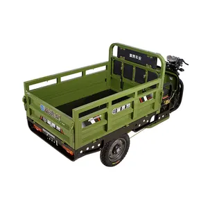 安全和受欢迎的可充电三轮车尼泊尔电动三轮车60v的货物