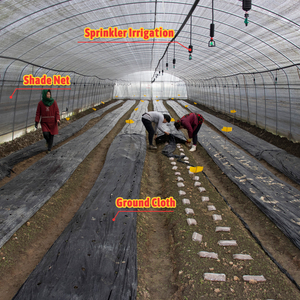 Mantar Ekipmanları Tarımsal Sera Mantar Çiftliği Satılık Seralar - Product Image 3