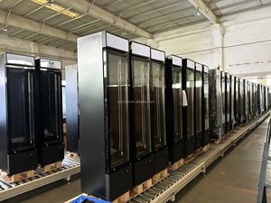 Congélateur <span class=keywords><strong>vertical</strong></span> commercial mince avec porte vitrée pour la présentation de glaces et d'aliments surgelés pour les magasins de détail et les supermarchés - Product Image 6