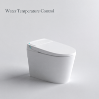 WC intelligent certifié CE avec fonction de lavage automatique, chauffant, allongé, à poser au sol
