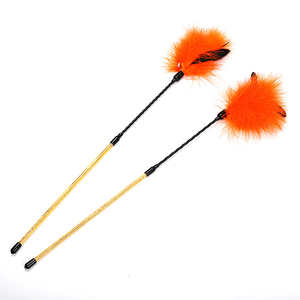 Bâtonnet interactif rétractable en <span class=keywords><strong>bois</strong></span> couleur ivoire pour animaux de compagnie, jouet amusant avec plumes de poulet pour jeu d'intérieur - Product Image 2