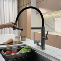 Robinet de cuisine moderne gris chaud/froid en acier inoxydable 304 avec pulvérisateur flexible en céramique argenté électroplaqué et rotation à 360°