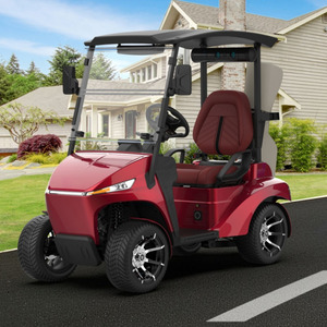 Voiturette de <span class=keywords><strong>golf</strong></span> électrique haut de gamme 3000 W, monoplace ou biplace, véhicule électrique tout-terrain, voiture électrique - Product Image 3