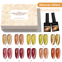 Kit de vernis à ongles en gel DIY de créateur en gros, liquide longue durée, sans HEMA, non toxique, végétalien, écologique, vernis magnétique effet œil de chat