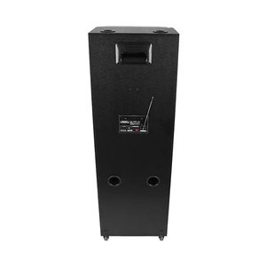Woofer de fiesta al aire libre con sistema de potencia y graves de 100W Sonido BT y control remoto para uso doméstico Incluye micrófono - Product Image 3
