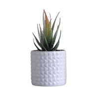 Mini pot en céramique de style mexicain pour la maison, le jardin, le bureau, pour plantes succulentes, pot de fleurs, vente en gros