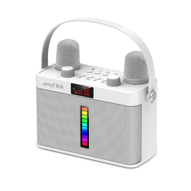 Hot Selling  Portable Music Player  Long Battery Life Mini Speaker with Two Wireless Microphone Karaoke Machine