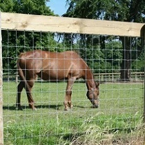 Clôture de champ en fil de fer galvanisé à nœuds fixes, haute résistance, 2,2 mm, 2,5 mm, 2,7 mm, clôture pour ferme ovine, <span class=keywords><strong>prix</strong></span> usine - Product Image 4
