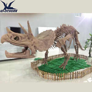 Intérieur Extérieur Musée Fossile Décoration Répliques <span class=keywords><strong>de</strong></span> <span class=keywords><strong>Squelette</strong></span> <span class=keywords><strong>de</strong></span> <span class=keywords><strong>Dinosaure</strong></span> Triceratops en Fibre <span class=keywords><strong>de</strong></span> Verre Grandeur Nature - Product Image 2