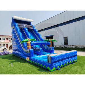Toboggan aquatique gonflable en PVC coloré en forme de palmier avec piscine pour enfants, toboggan aquatique gonflable pour aire de jeux - Product Image 5