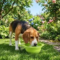 Bol de voyage pliable en silicone pour animaux de compagnie, 600 ml, automatique, moderne, solide, étanche, portable, pour nourriture et eau, sans BPA