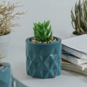 Suculentas artificiales en maceta de cemento Pequeña planta de <span class=keywords><strong>cactus</strong></span> artificial <span class=keywords><strong>para</strong></span> estante de sala de estar - Product Image 3