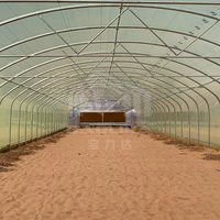 Grande serre tunnel commerciale à travée unique avec structure en acier galvanisé à chaud et couverture en PE – Ensemble complet