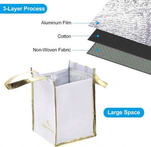 Bolsa Térmica para Alimentos, Bolsa de Reparto para Restaurantes, Bolsa de Transporte para Pasteles, Bolsa Refrigerante Impermeable Dorada con Asa - Product Image 3