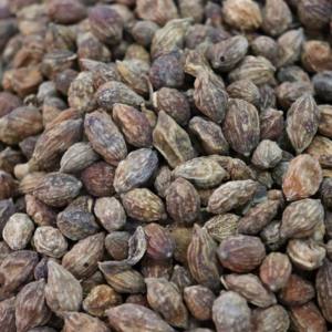 للبيع بالجملة من الشركة المصنعة للعناية بالبشرة فاكهة سيترون طبية بالأعشاب الصينية تخفف التعب الجسدي وتخفيف القلق - Product Image 4