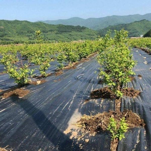 1.2m 1X10m Couverture de sol robuste PP biodégradable tapis de contrôle des mauvaises herbes barrière en plastique blanc chevilles agricoles clous broche - Product Image 1