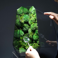 Fleurs éternelles paysagères, mousse naturelle préservée à 100% dans un récipient en verre, terrarium de lichens et de mousse, décoration pour la maison, Saint-Valentin, Nouvel An
