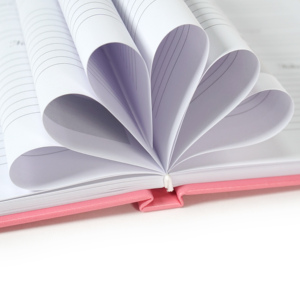 Tùy chỉnh in ấn chăm sóc sức khỏe Tạp Chí tự chăm sóc biểu hiện <span class=keywords><strong>Linen</strong></span> mục tiêu motivational hàng ngày lòng biết ơn phản ánh kế hoạch máy tính xách tay - Product Image 6