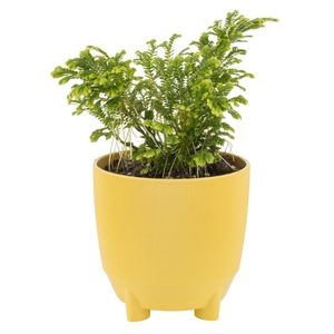 Luna 9กระถางดอกไม้พลาสติกรีไซเคิลขนาดใหญ่สำหรับตกแต่งในร่มกลางแจ้งสวนระเบียงลานบ้าน - Product Image 4