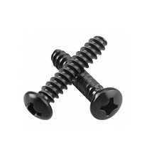 Vis de formage de filetage en plastique de type PT à tête cylindrique Phillips galvanisée en acier noir-Attaches autotaraudeuses à dents triangulaires M2.5 * 6
