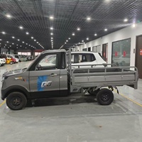 Mini camionnette électrique RHD avec benne à plateau pour ferme et ranch, véhicule utilitaire 4 roues, petit camion de transport, directement de l'usine