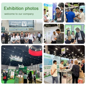 Fornecedor de Pó de Limão Liofilizado em Grande Escala, Pó de Limão de Alta Pureza - Product Image 5