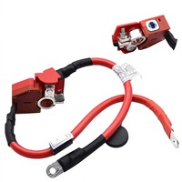 Câble de fusible de batterie positif 61129259425 9214506-02 compatible avec F30/F31/F34/F35/M3/F80/F32/F33/F36/M4 OLIVER