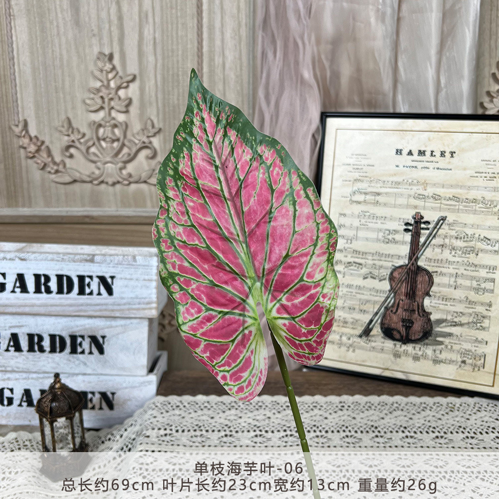 YM2-Single taro leaf-06