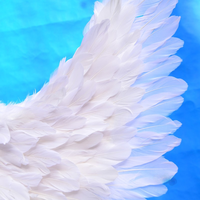Blanc Plume ailes De Mariage fond adulte ange ailes
