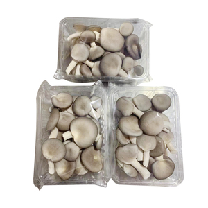ถาดพลาสติกใส่เห็ดแบบกันฝ้า เกรดสำหรับบรรจุอาหาร สำหรับเห็ดสด ผลไม้ ผัก ใช้ในเชิงพาณิชย์ - Product Image 3
