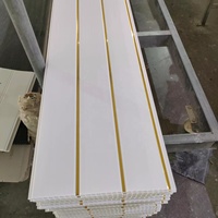 Paneles y Placas de Techo de PVC Blancos Comunes con Dos Ranuras y Líneas Doradas Impresas
