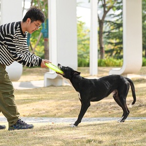 Meianju Thickened Distance Disc Standard Competition Dog Show Outdoor <b>Throwing</b> Retrieval Training Pet Toy - Product Image 1